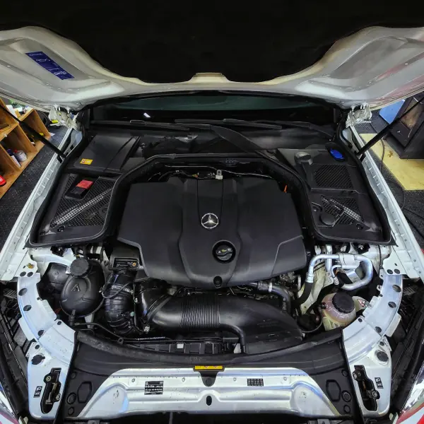 Detailing premium